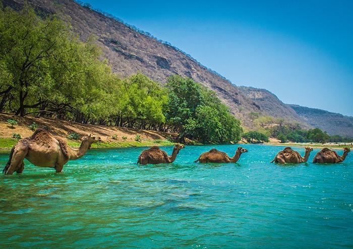 East Salalah, History & Wadis.