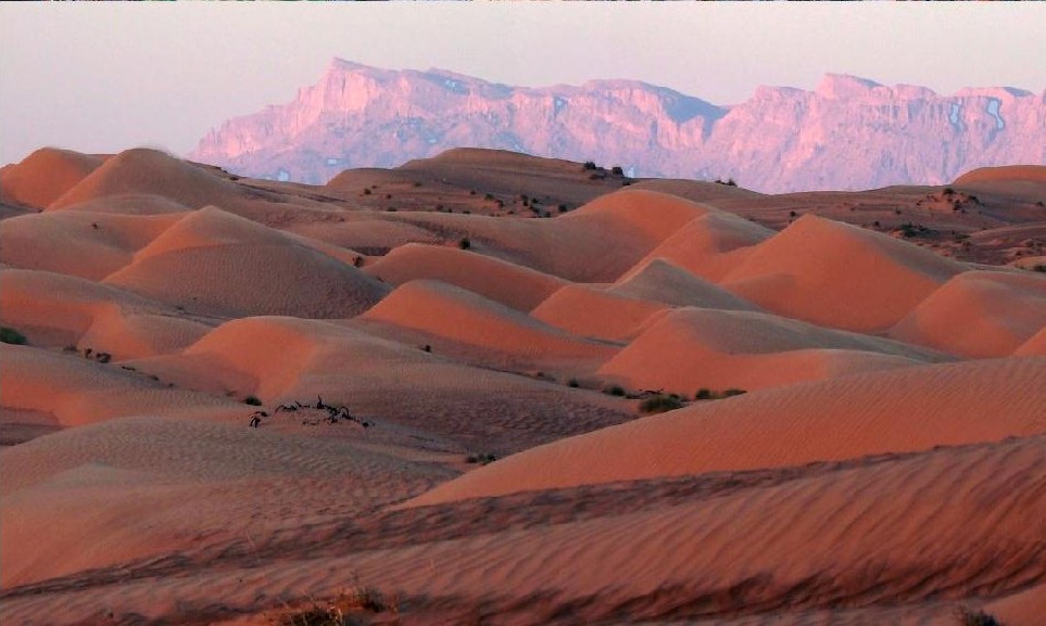 Mirbat & Desert Day.