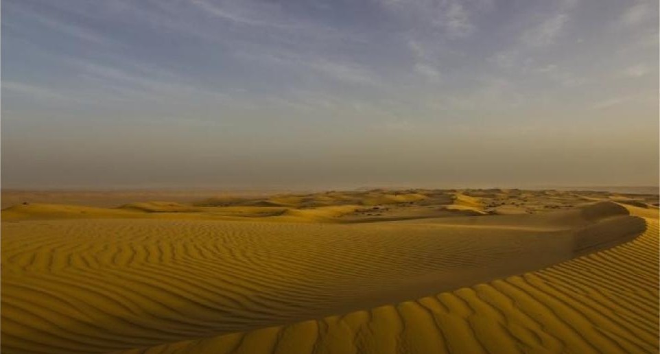 Desert Adventure, Wahiba Sands.