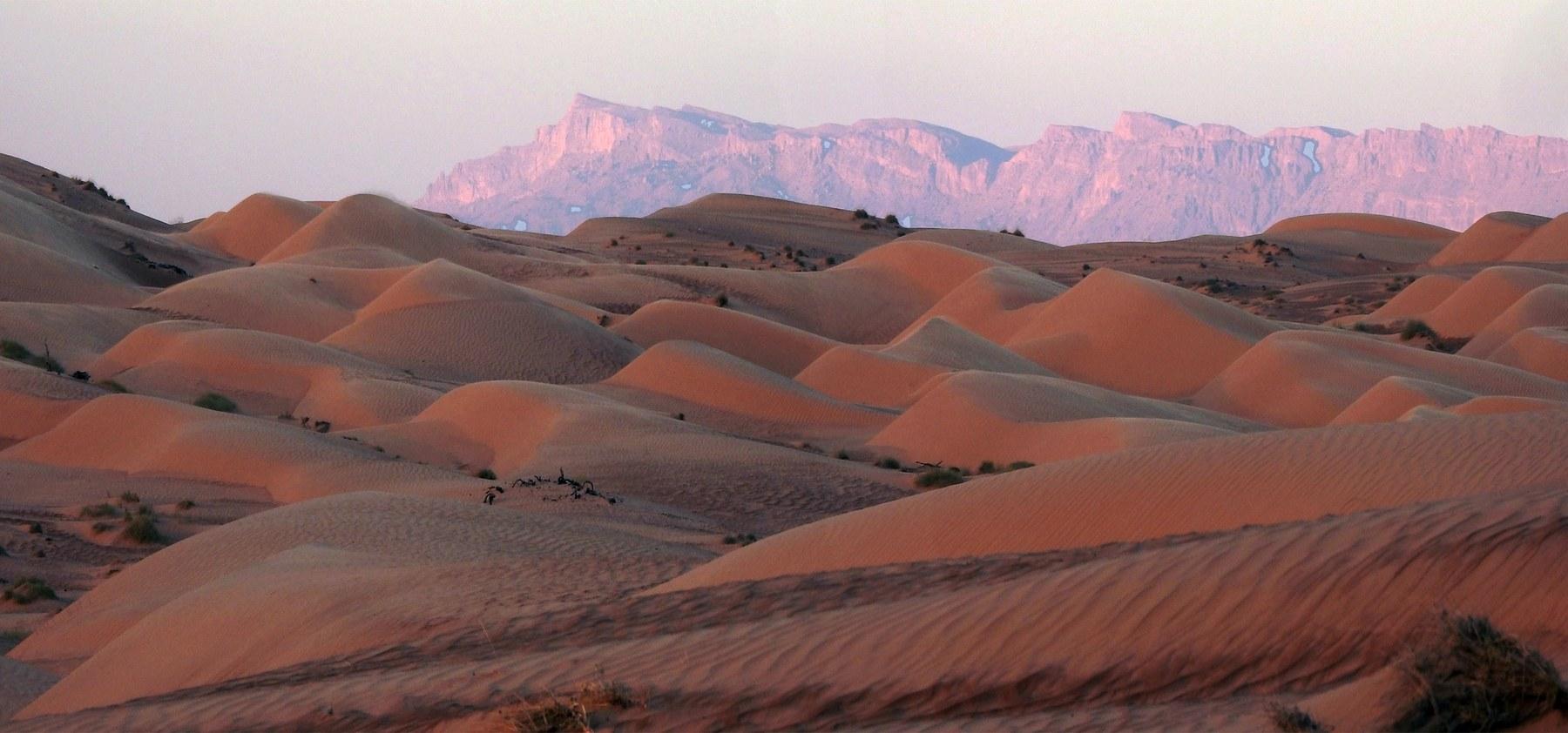 Dunes of the Sharqiya Sands at dusk, mountains rising behind
